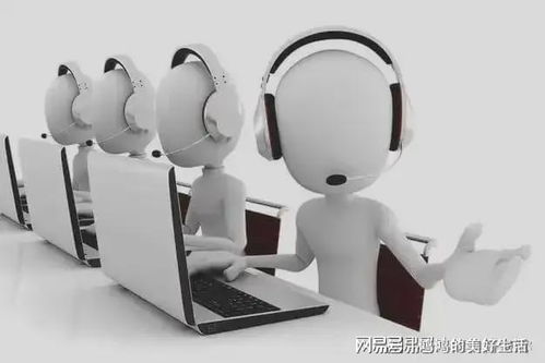 蕓豆花官網客服服務體系升級，提供全方位用戶信息咨詢服務