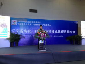 2012中國東北及環(huán)渤海地區(qū)中小企業(yè)專精特新產品技術展覽洽談會市場營銷策劃